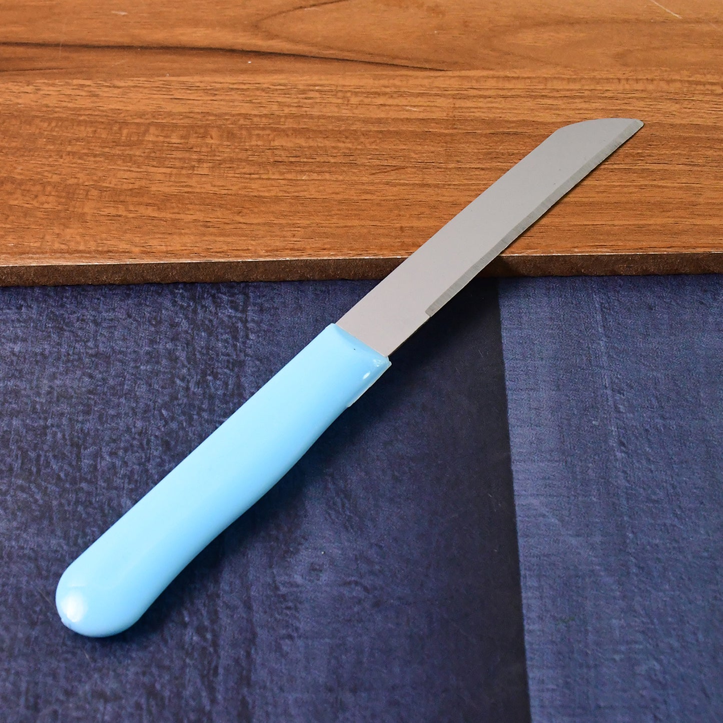 Premium Quality Stainless Steel Handle Plain Knife (10 Pc 1 Set)